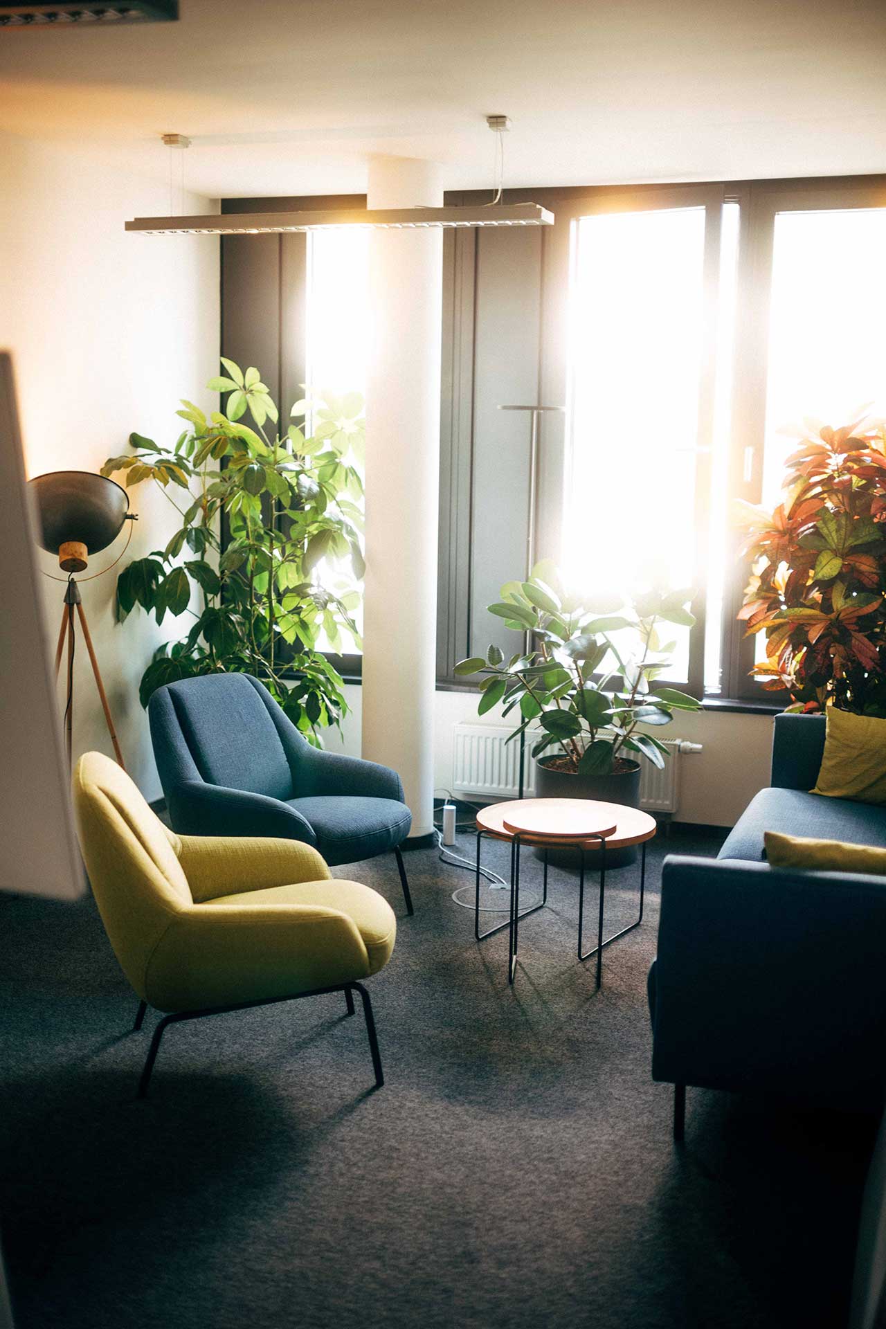 Image of meeting room at Liftric, with two colorful chairs and many plants
